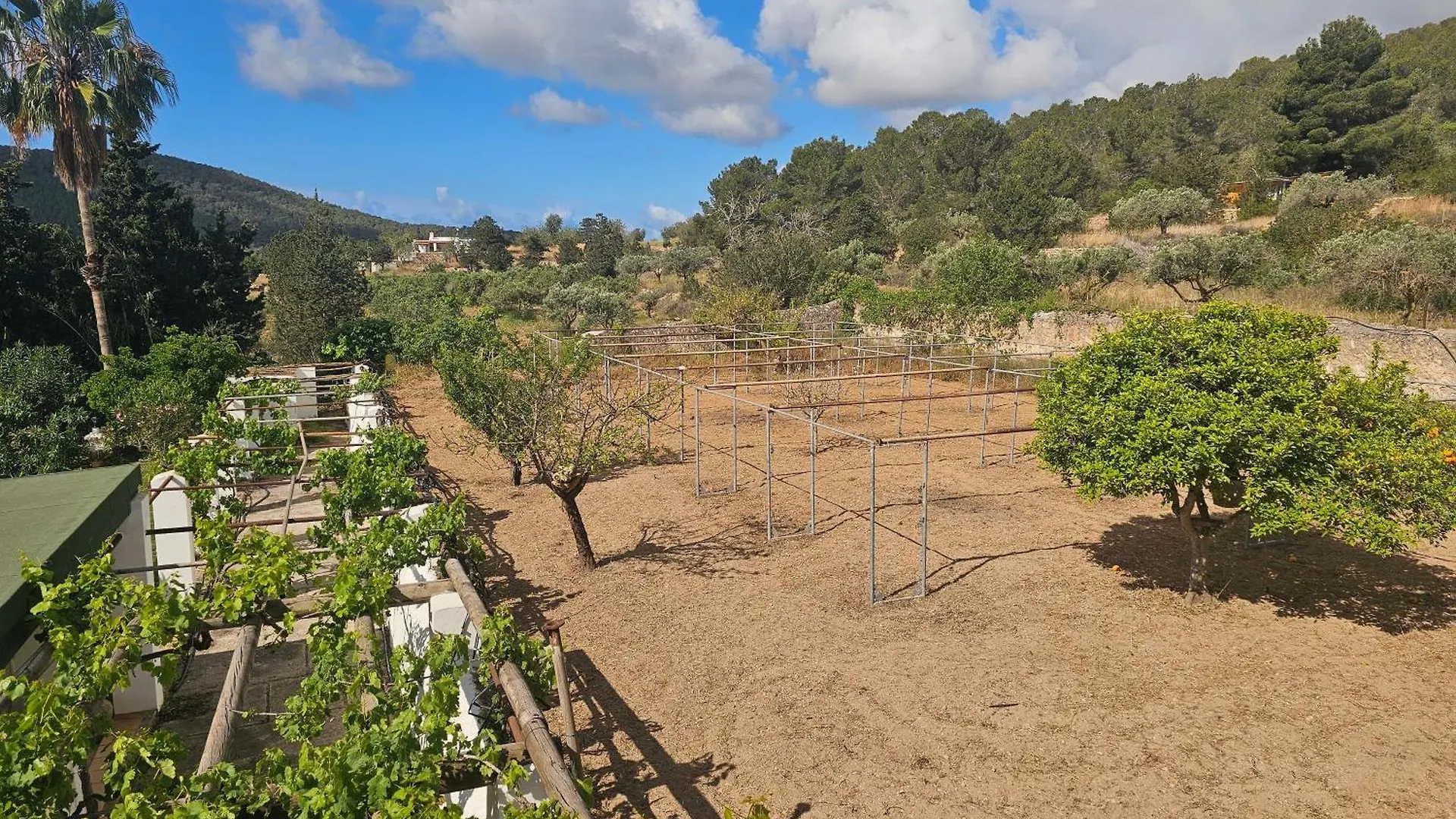 Villa Can Ripoll Ibiza Apartmán